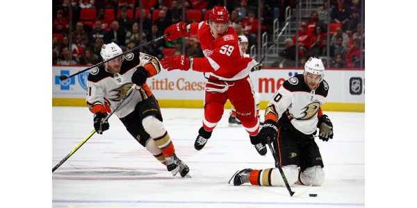 Les Bruins de Boston échangent deux choix à Tyler Bertuzzi